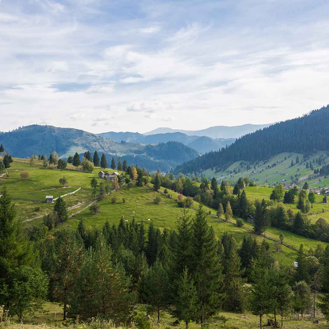 Йога-ретрит в Ворохті